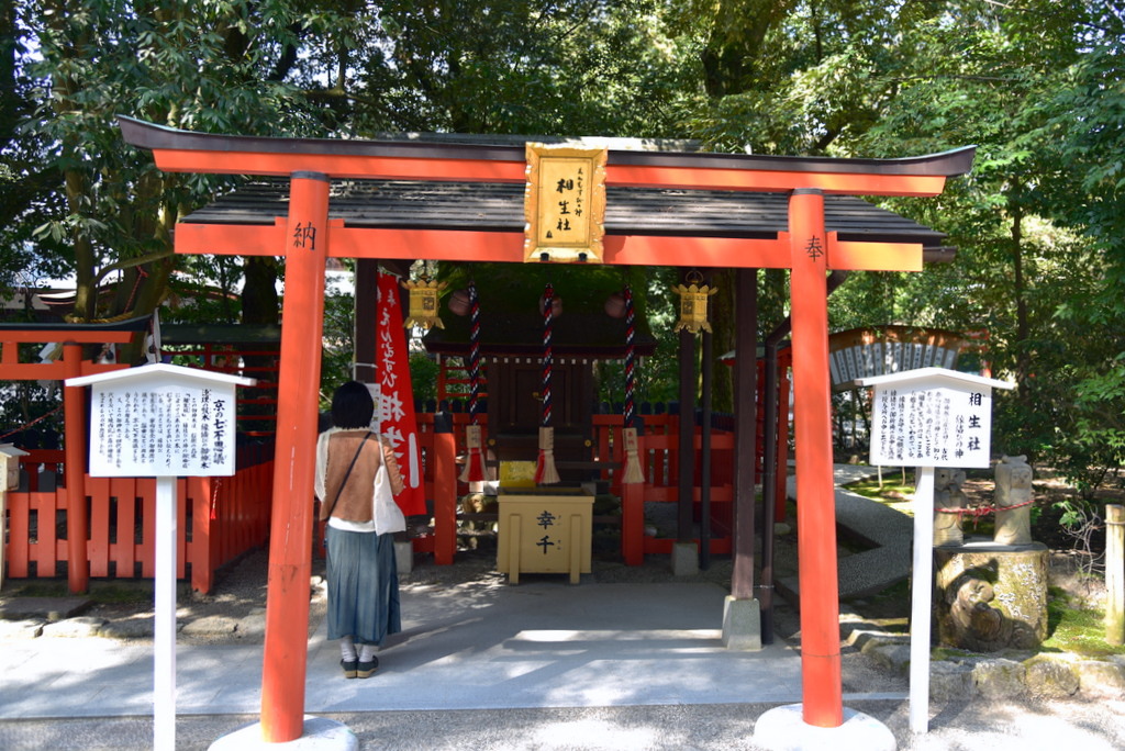 京都市 櫻花季前的京都05 下鴨神社 世界文化遺產 J28ah的美景採集錄 痞客邦