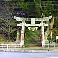 49-DSC_3445.JPG