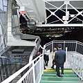 85-DSC_3437.JPG