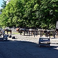 015-DSC_4135.JPG