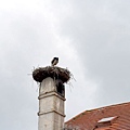 39-DSC_0056.JPG