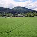 04-DSC_0590.JPG