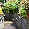 106-JEF_7900.JPG