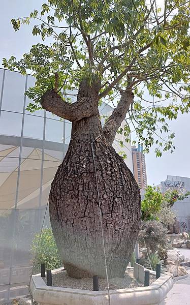 047-20220918_121413.jpg