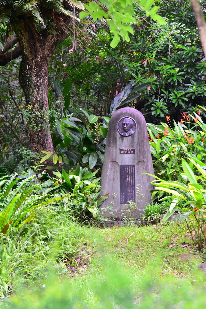 【台北中正】植物園裡拈花惹草華西街郭家炒牛肉