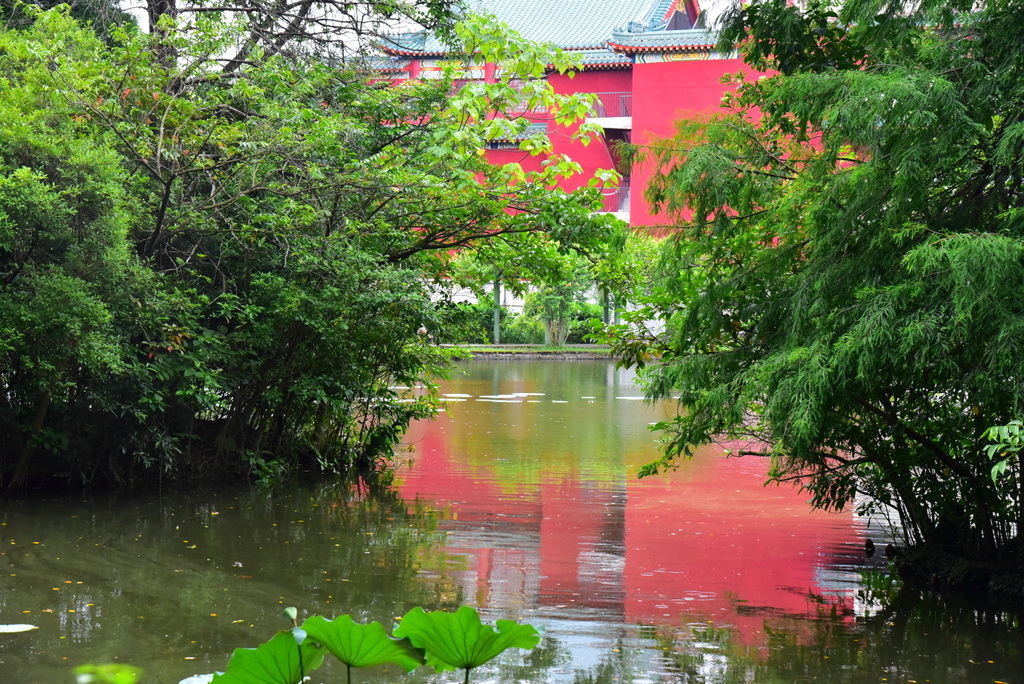 【台北中正】植物園裡拈花惹草華西街郭家炒牛肉