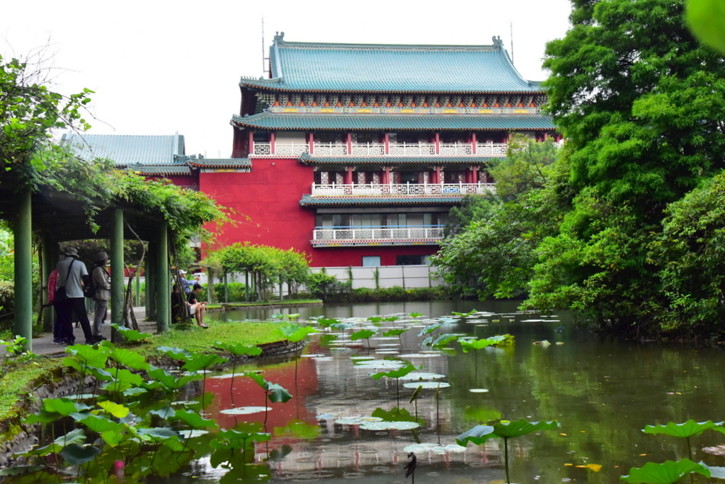 【台北中正】植物園裡拈花惹草華西街郭家炒牛肉