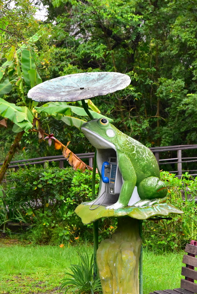 【台北中正】植物園裡拈花惹草華西街郭家炒牛肉