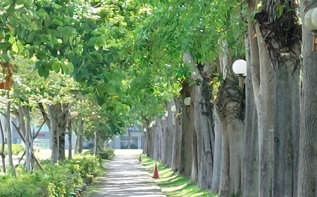 【宜蘭宜蘭礁溪】養豬行程半日遊