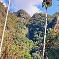 08-20241201_101406.jpg