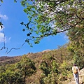 32-20241201_123655.jpg