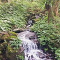 79-20241201_143748.jpg