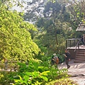 82-20241201_144743.jpg
