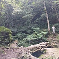 14-20240714_110031.jpg