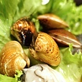DSC00037.JPG