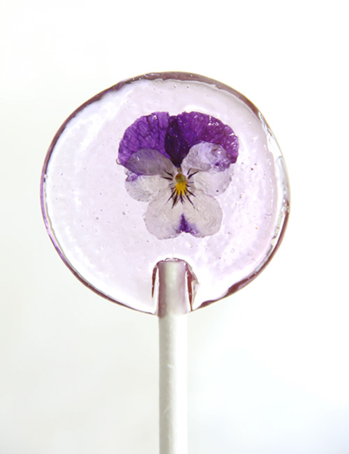 sprinklebakes pansy pop