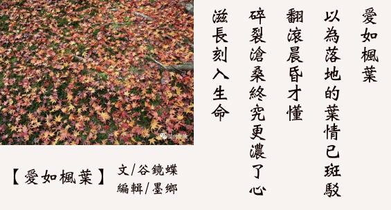 愛如楓葉~踩楓
