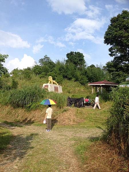 【高雄】藤枝林道二集團生態步道