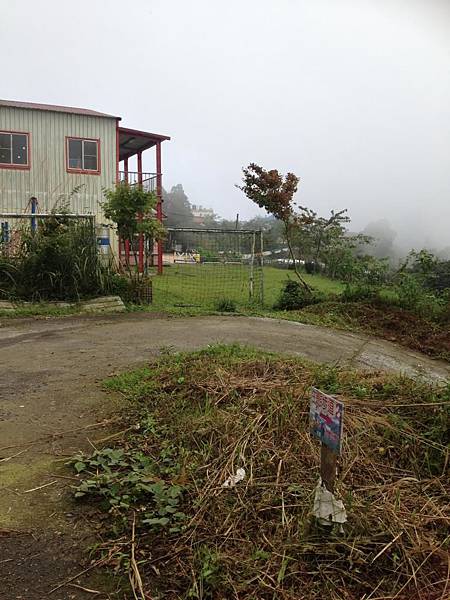 【高雄】藤枝林道二集團生態步道