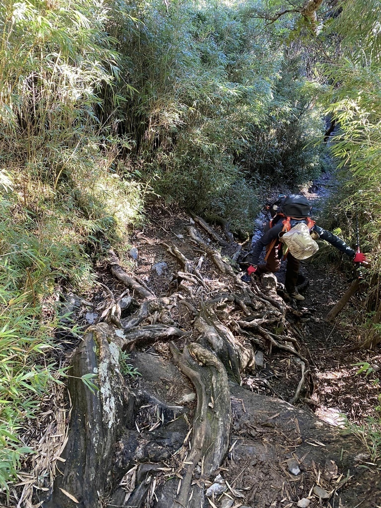 【屏東泰武】北大武步道之北大武山 part1