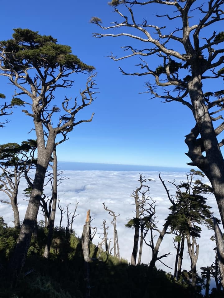 【屏東泰武】北大武步道之北大武山 part1