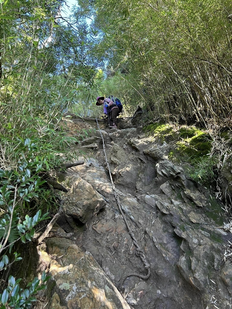 【屏東泰武】北大武步道之北大武山 part2