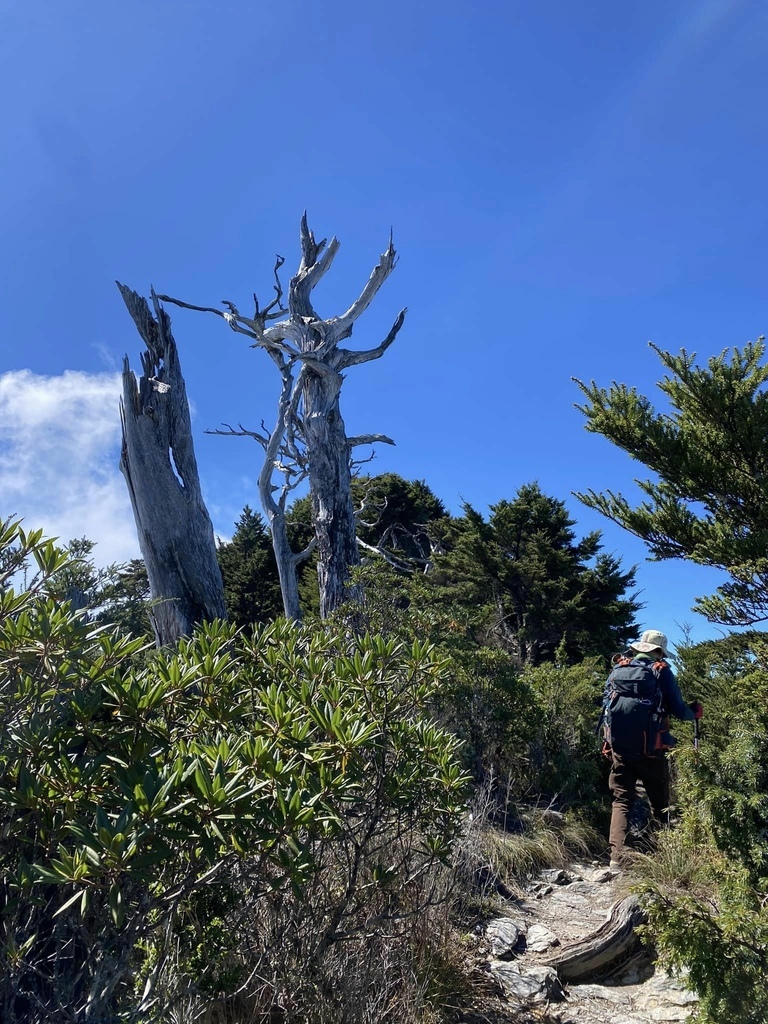 【屏東泰武】北大武步道之北大武山 part2