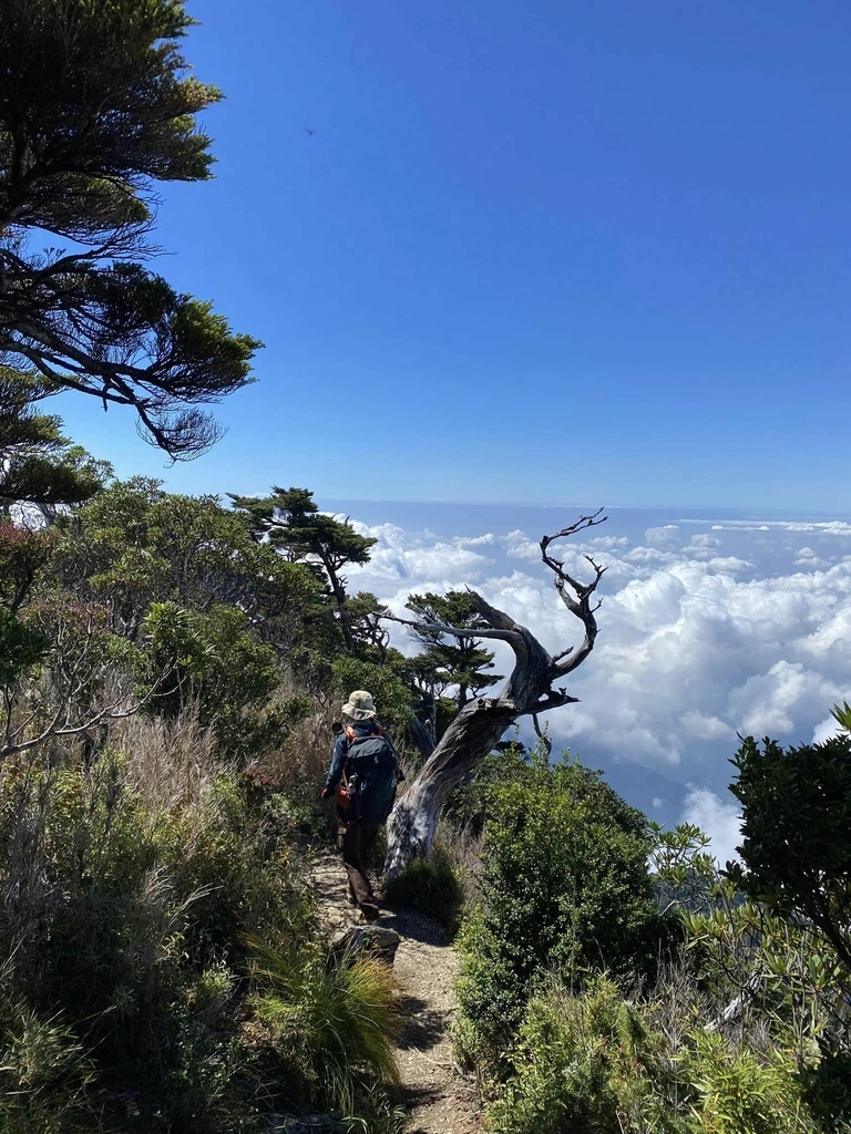 【屏東泰武】北大武步道之北大武山 part2