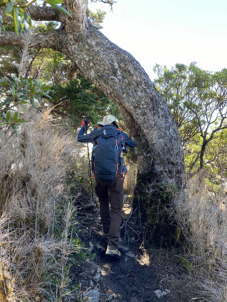 【屏東泰武】北大武步道之北大武山 part2