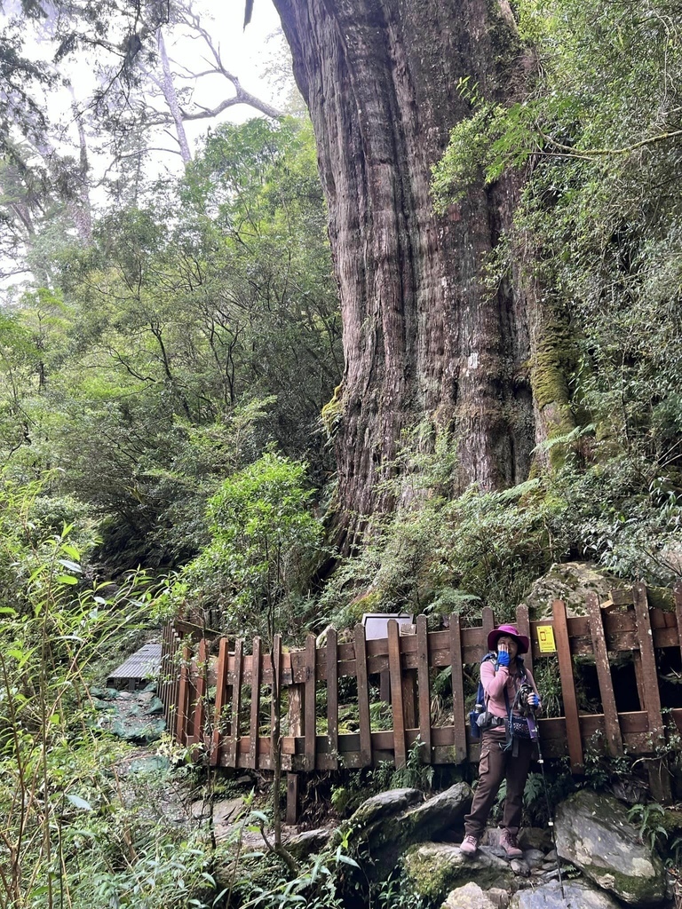 【屏東泰武】北大武步道之北大武山 part2