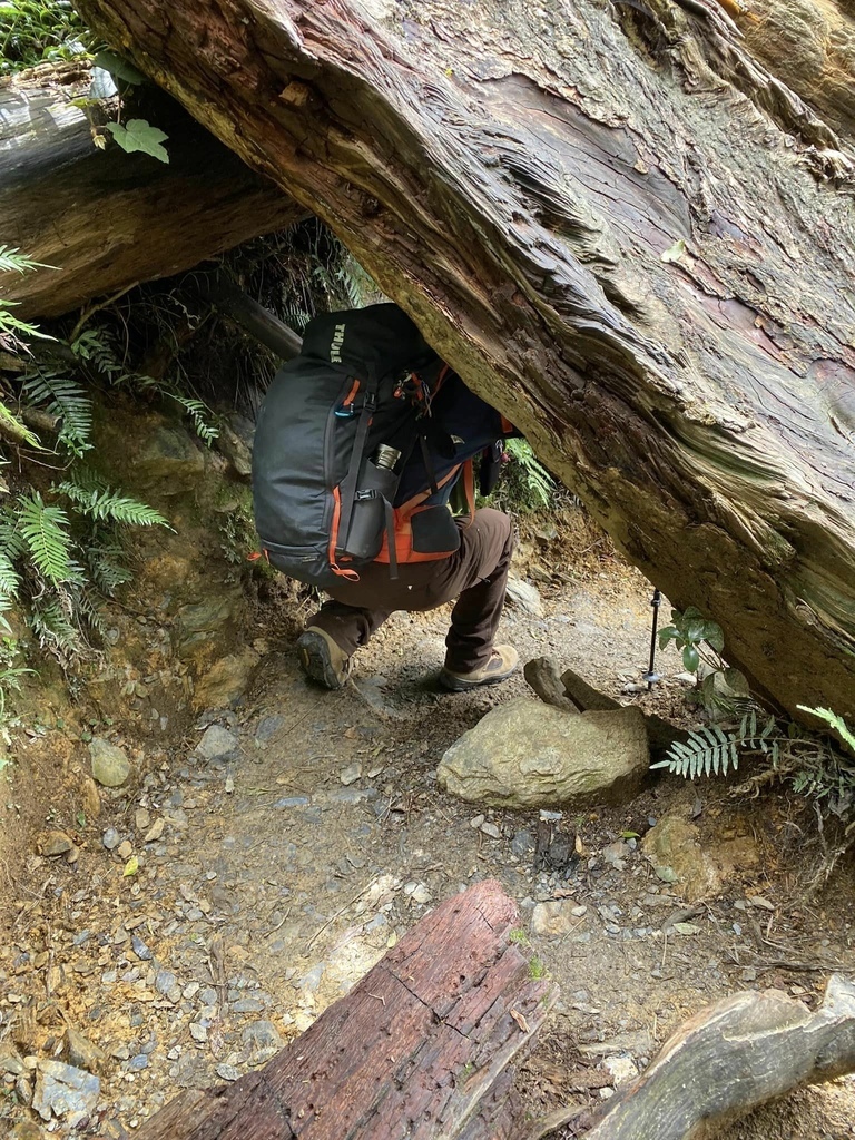 【屏東泰武】北大武步道之北大武山 part2