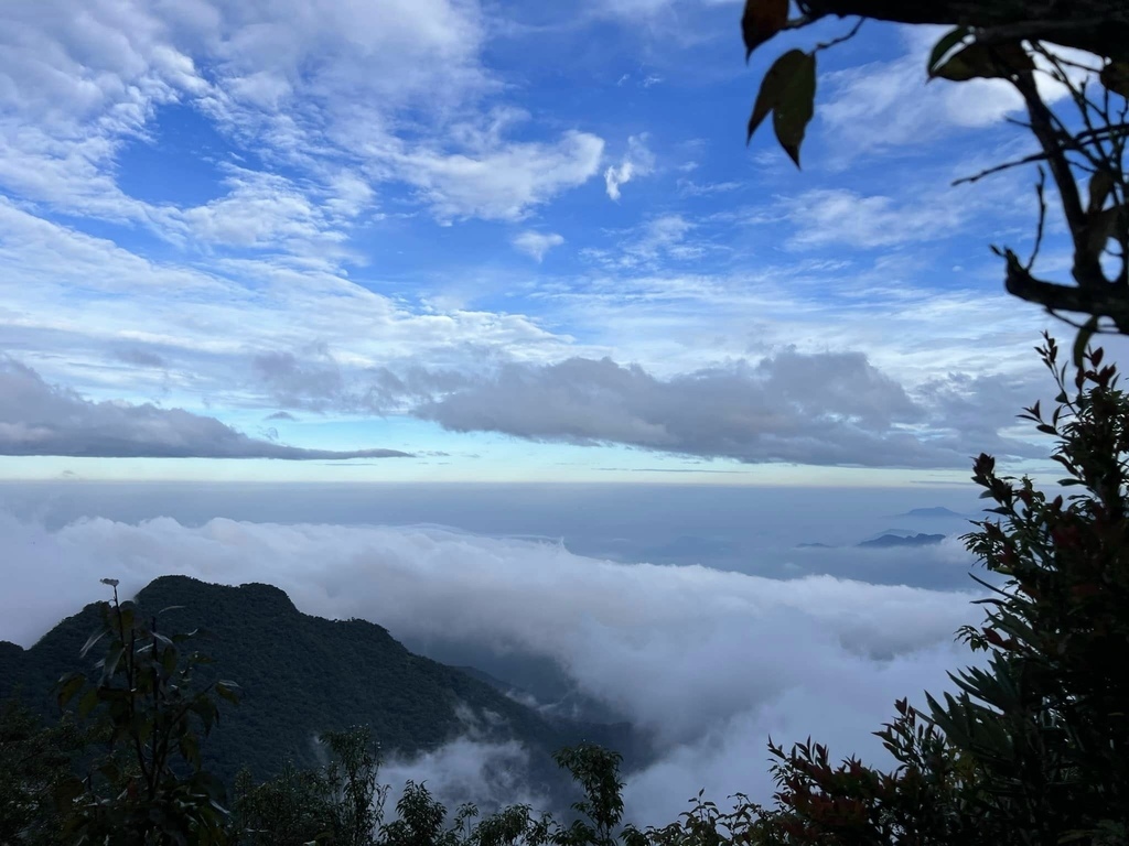 【屏東泰武】北大武步道之北大武山 part2