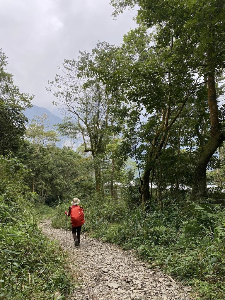 【屏東泰武】北大武步道之北大武山 part2