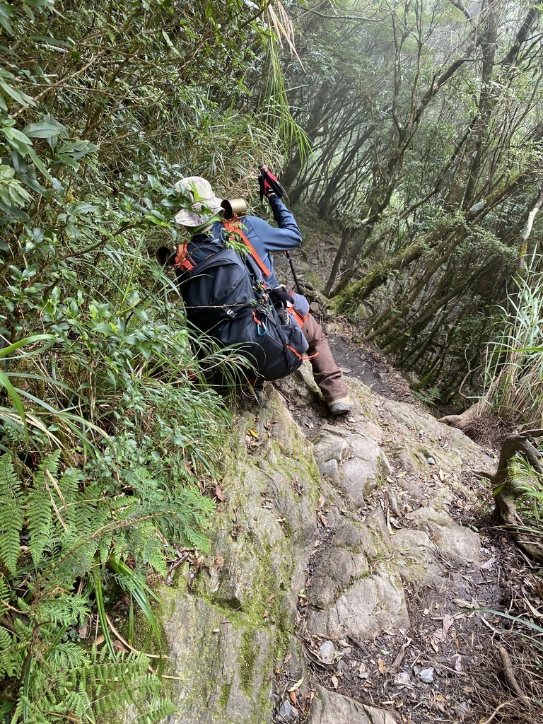 【屏東泰武】北大武步道之北大武山 part2