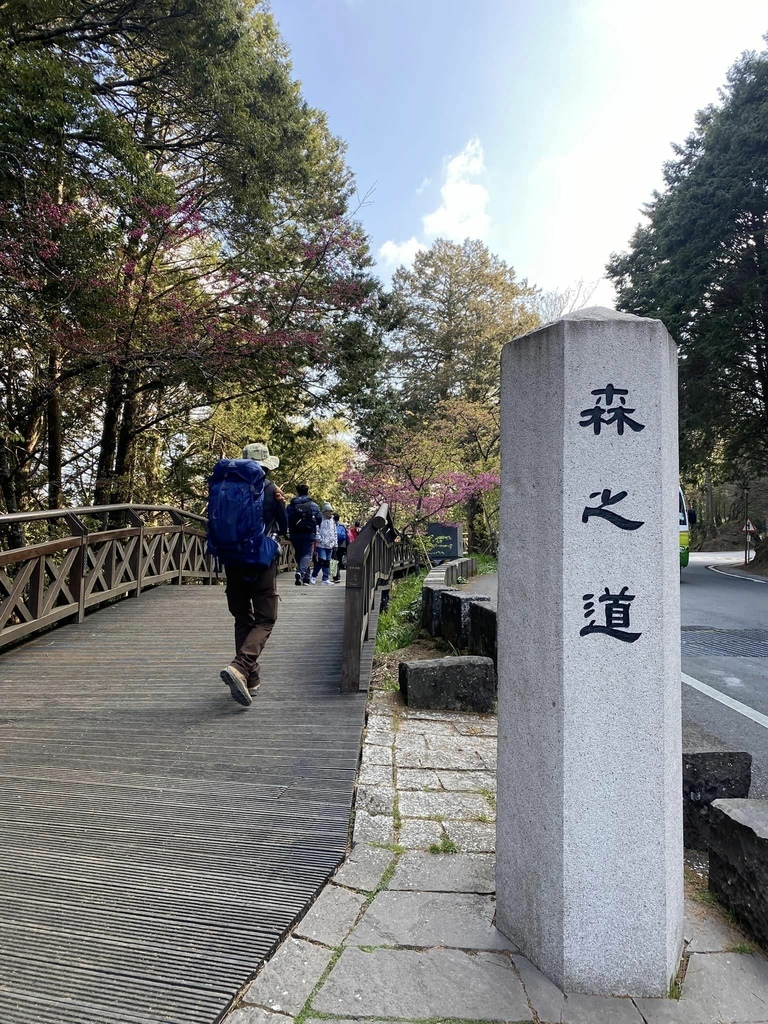 【嘉義阿里山】阿里山森林遊樂區賞花行。day1