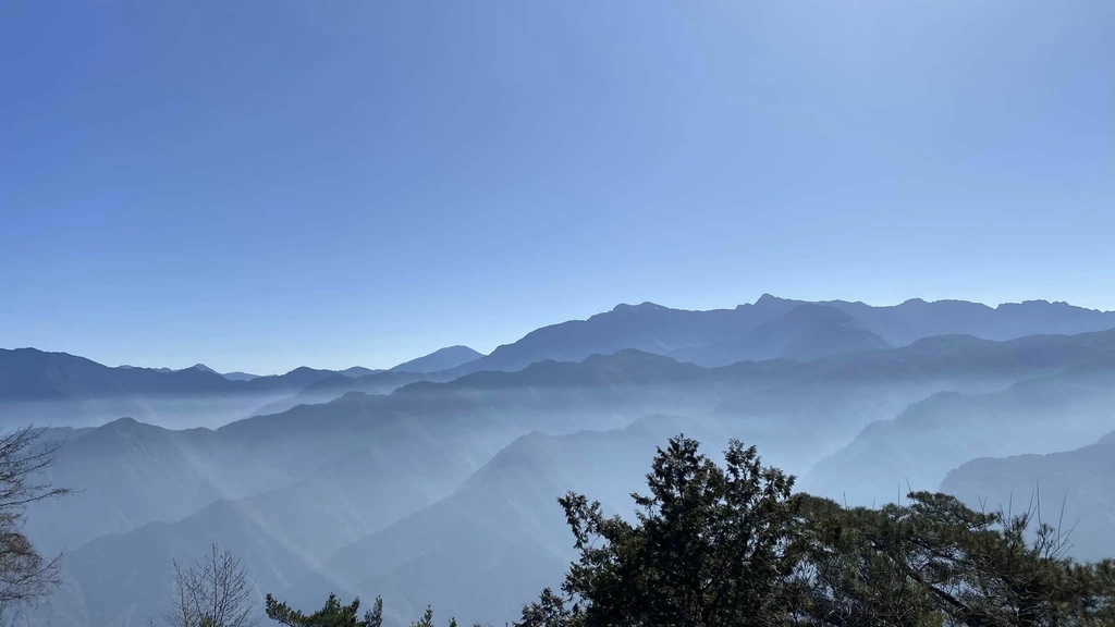 【嘉義阿里山】阿里山森林遊樂區賞花行。day2