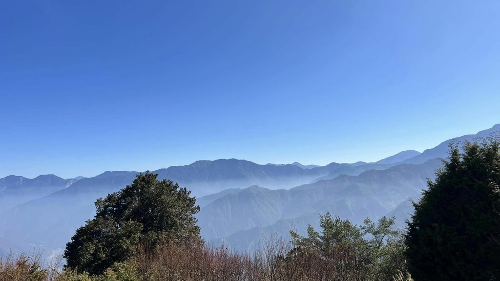 【嘉義阿里山】阿里山森林遊樂區賞花行。day2