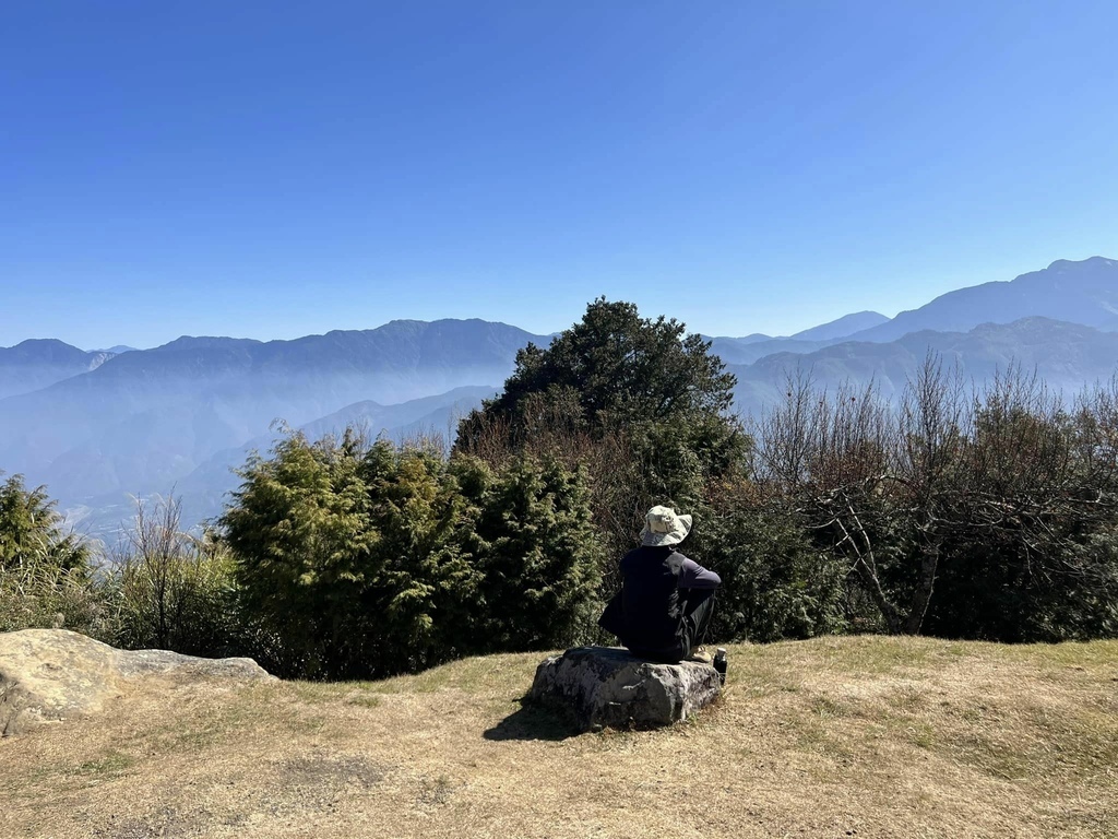 【嘉義阿里山】阿里山森林遊樂區賞花行。day2