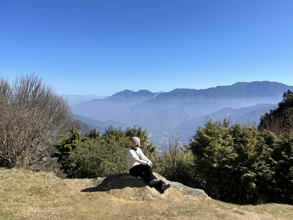 【嘉義阿里山】阿里山森林遊樂區賞花行。day2