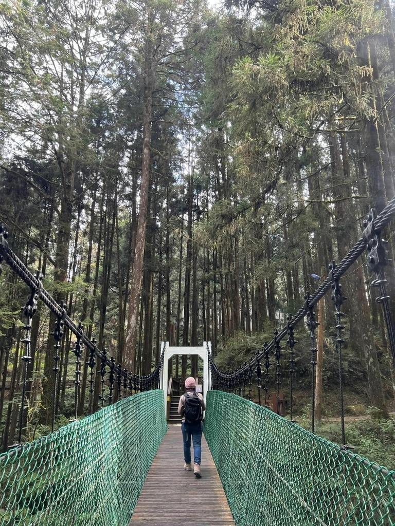 【嘉義阿里山】阿里山森林遊樂區賞花行。day1