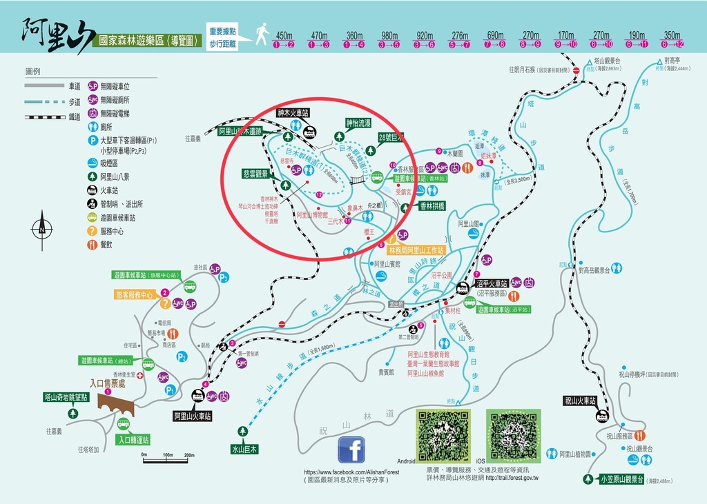 【嘉義阿里山】阿里山森林遊樂區賞花行。day1