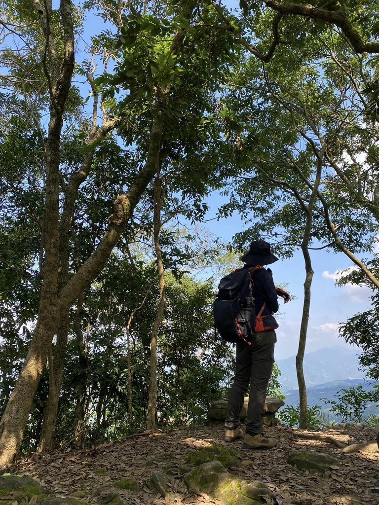 【台南南化】烏山南段:石松子山-紫竹寺-王爺崙山稜線來回