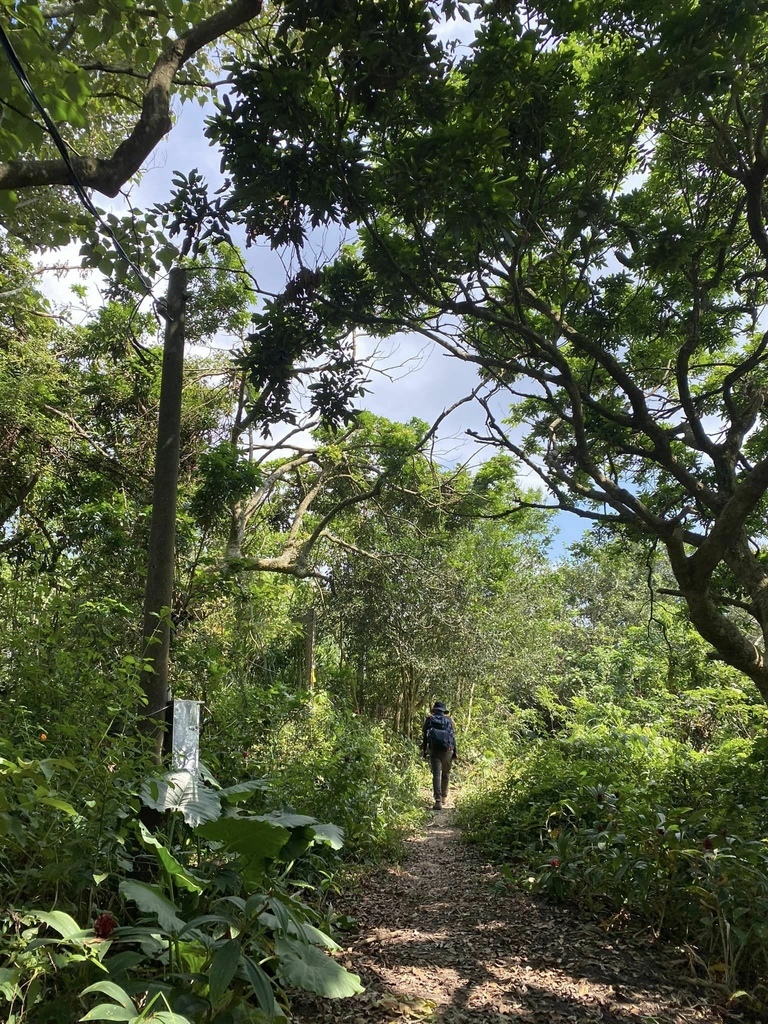 【台南南化】烏山南段:石松子山-紫竹寺-王爺崙山稜線來回