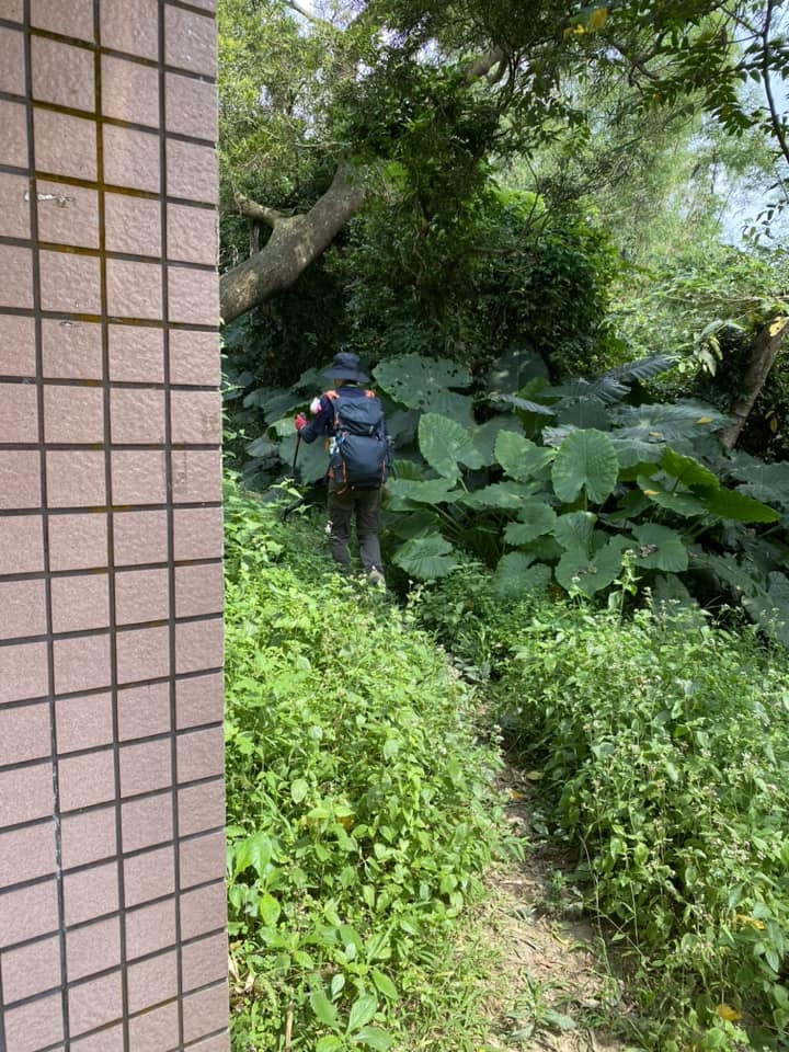 【台南南化】烏山南段:石松子山-紫竹寺-王爺崙山稜線來回