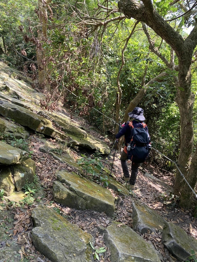 【台南南化】烏山南段:石松子山-紫竹寺-王爺崙山稜線來回