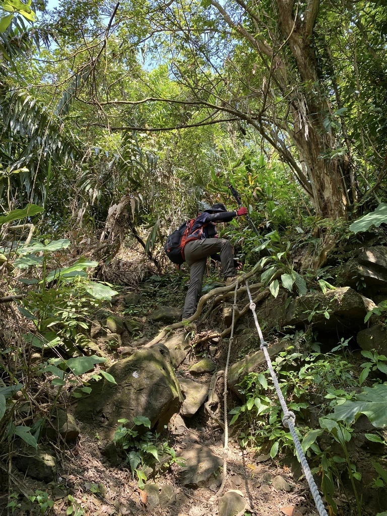 【台南南化】烏山南段:石松子山-紫竹寺-王爺崙山稜線來回