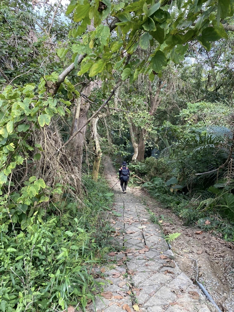 【台南南化】烏山南段:石松子山-紫竹寺-王爺崙山稜線來回