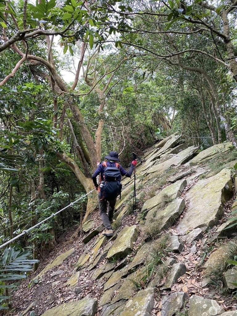 【台南南化】烏山南段:石松子山-紫竹寺-王爺崙山稜線來回