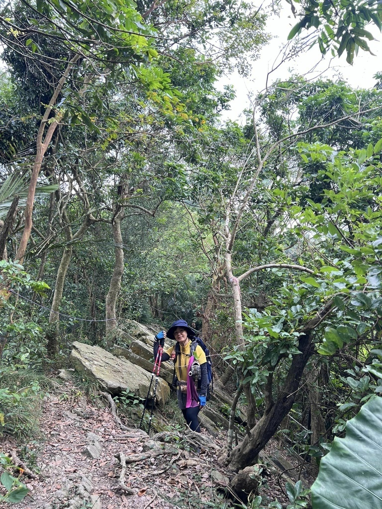 【台南南化】烏山南段:石松子山-紫竹寺-王爺崙山稜線來回