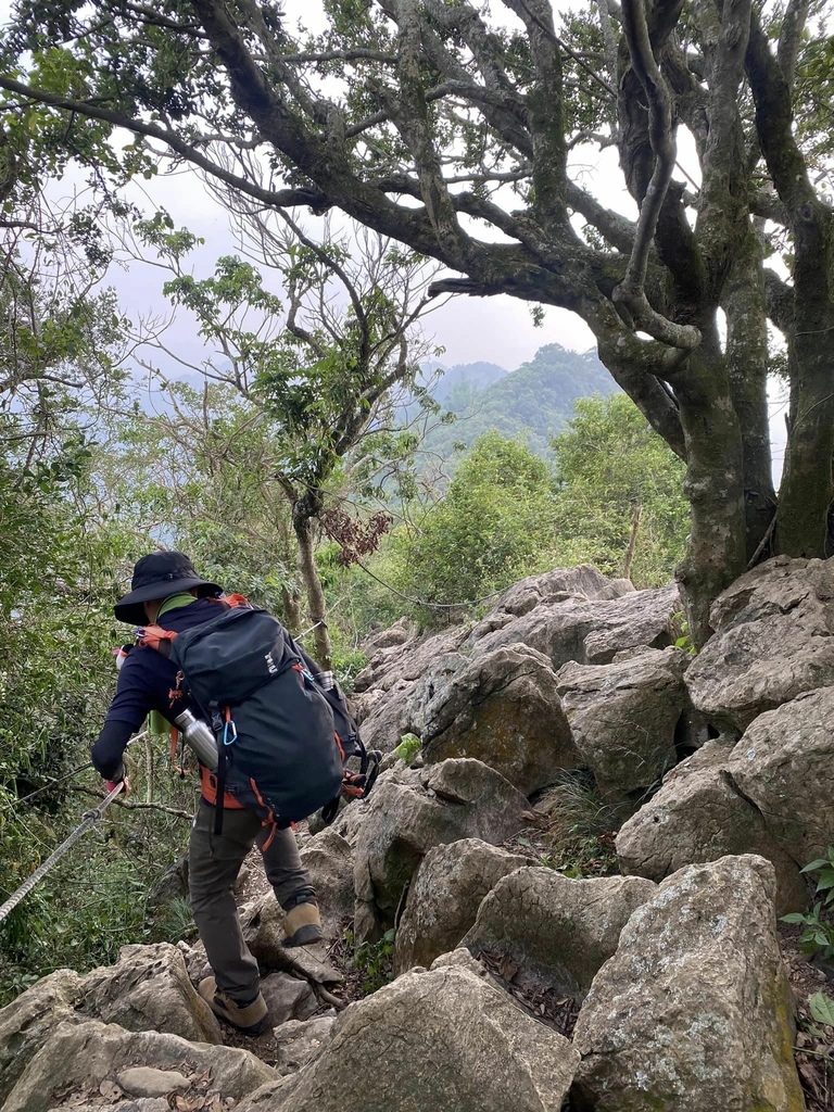 【台南南化】烏山南段:石松子山-紫竹寺-王爺崙山稜線來回